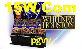 Programa VIP pgvv